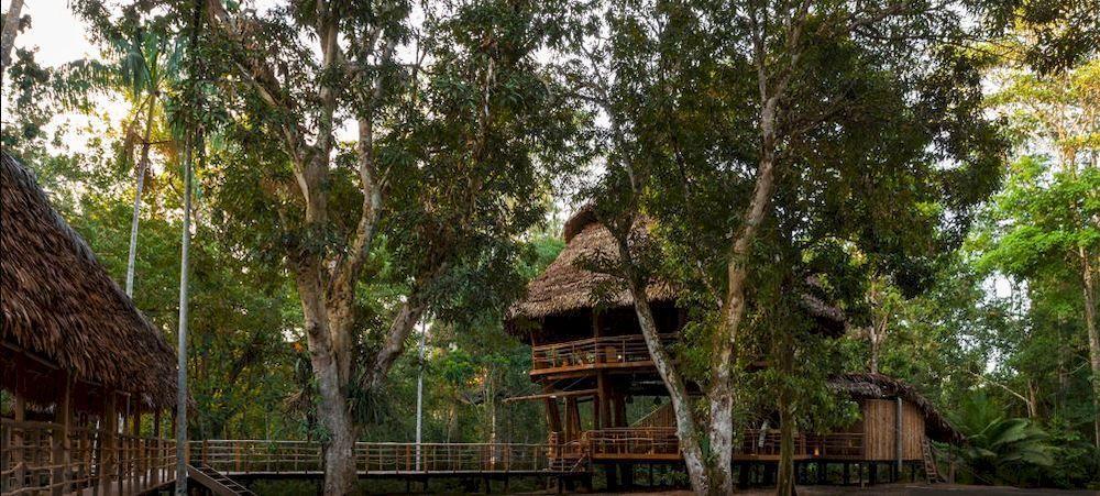 Treehouse Lodge Yucuruche Exteriér fotografie