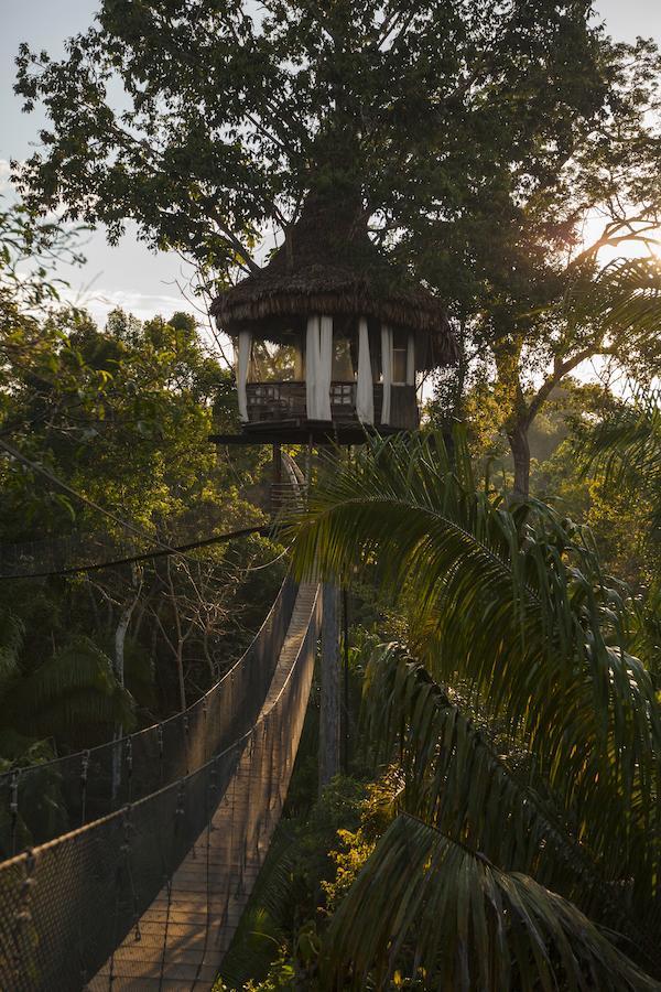 Treehouse Lodge Yucuruche Exteriér fotografie