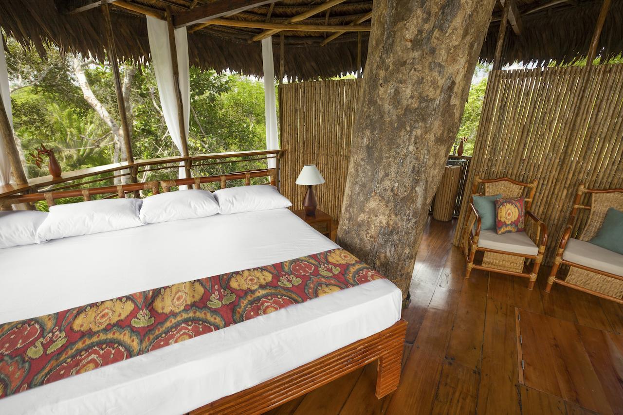 Treehouse Lodge Yucuruche Pokoj fotografie