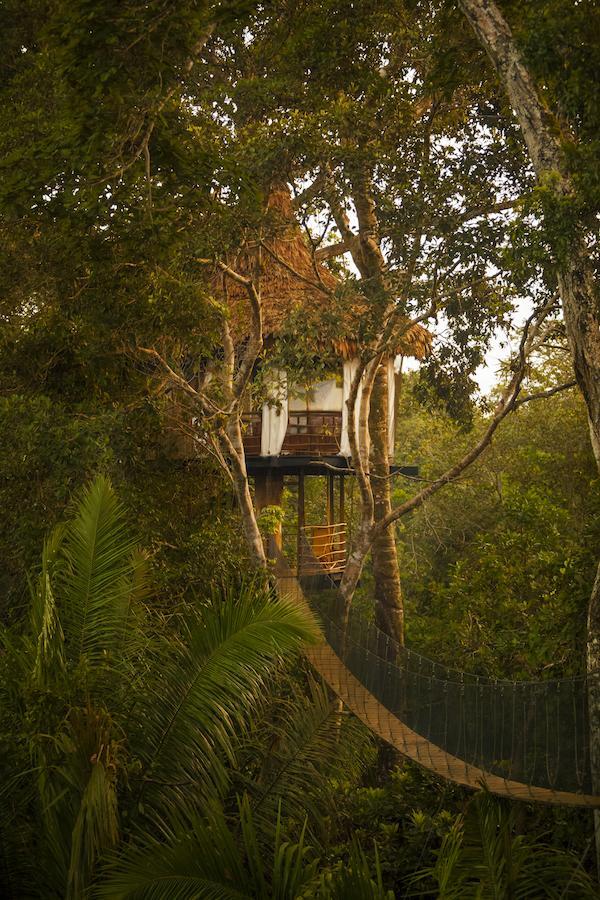 Treehouse Lodge Yucuruche Exteriér fotografie