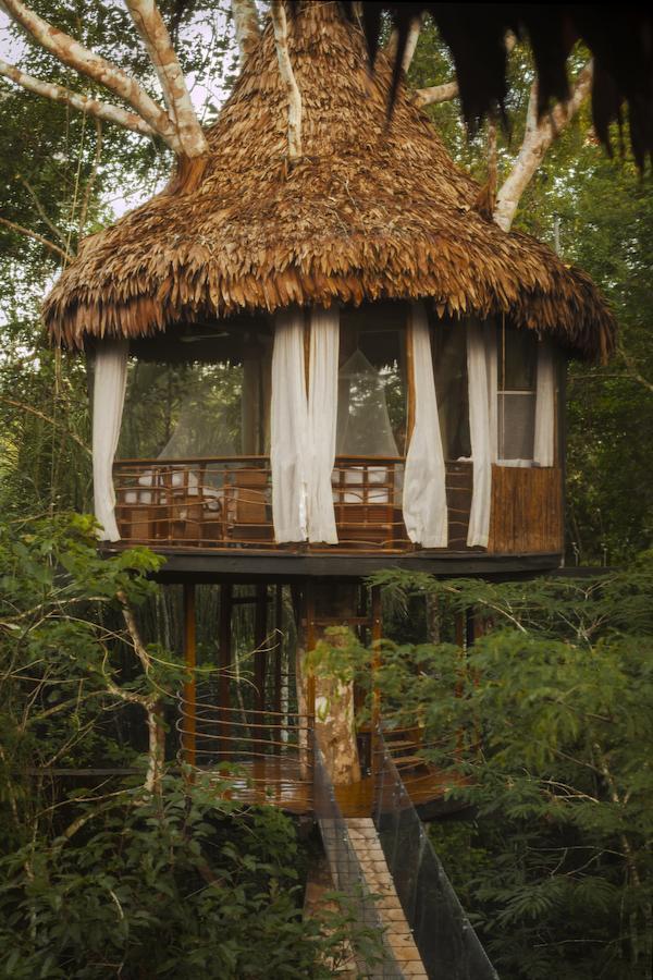 Treehouse Lodge Yucuruche Exteriér fotografie