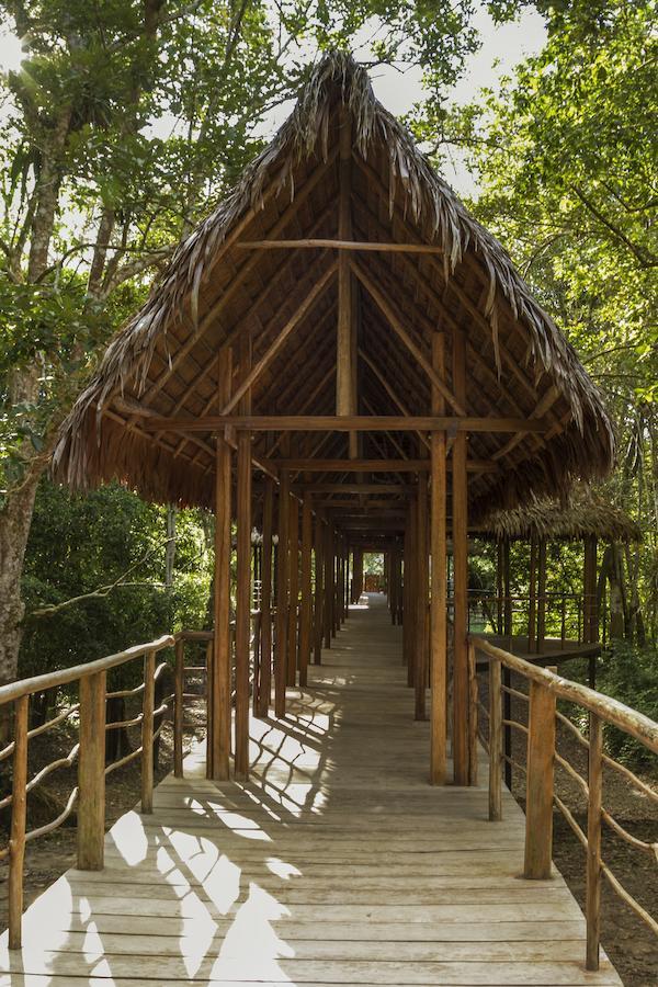 Treehouse Lodge Yucuruche Exteriér fotografie