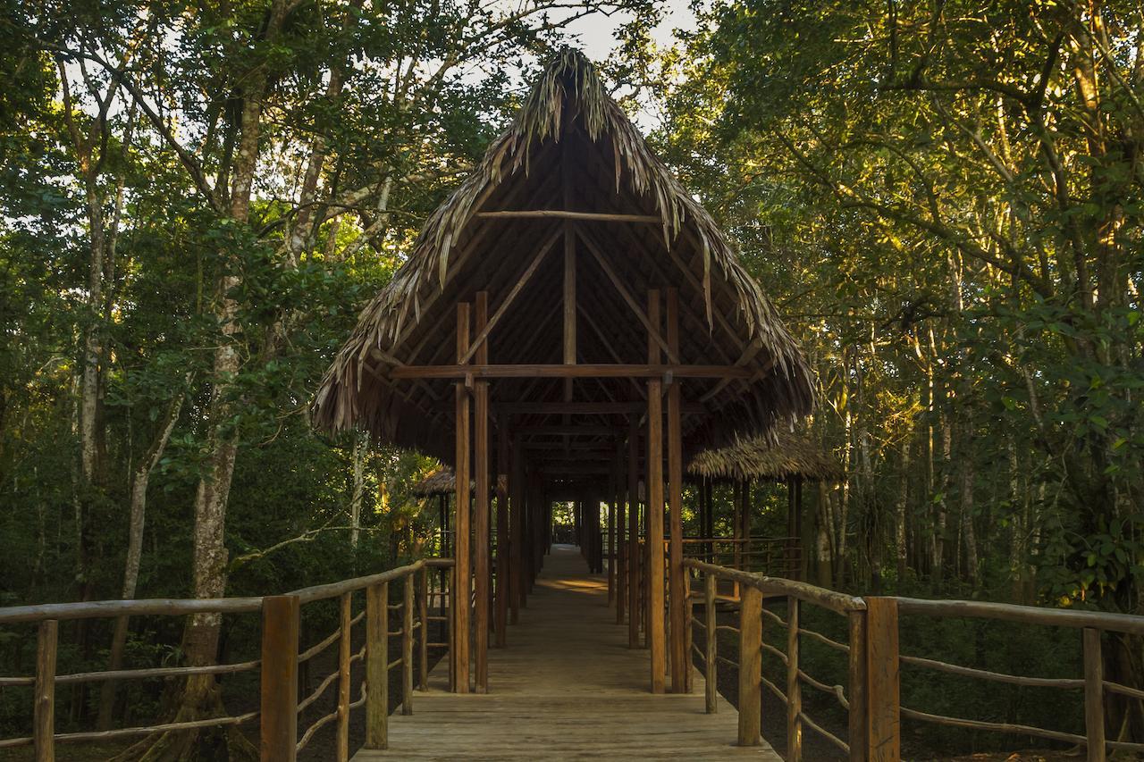 Treehouse Lodge Yucuruche Exteriér fotografie