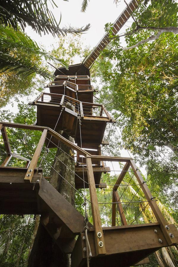 Treehouse Lodge Yucuruche Pokoj fotografie