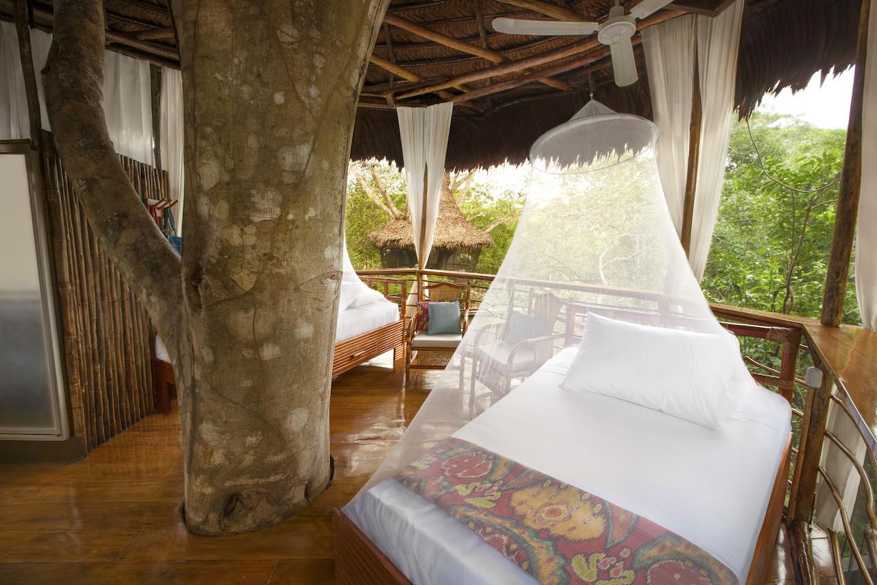 Treehouse Lodge Yucuruche Pokoj fotografie