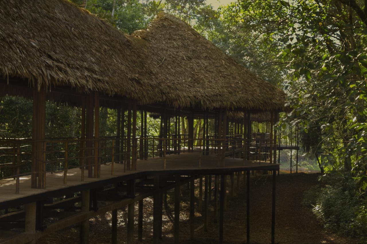 Treehouse Lodge Yucuruche Exteriér fotografie