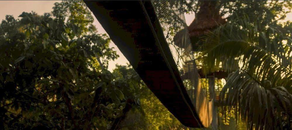 Treehouse Lodge Yucuruche Exteriér fotografie