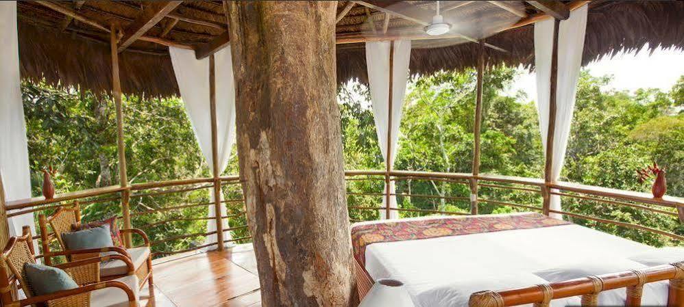 Treehouse Lodge Yucuruche Exteriér fotografie